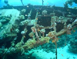American Yacht sunk in early 90's in Southern Red Sea. Ta... by Sarah Iles 